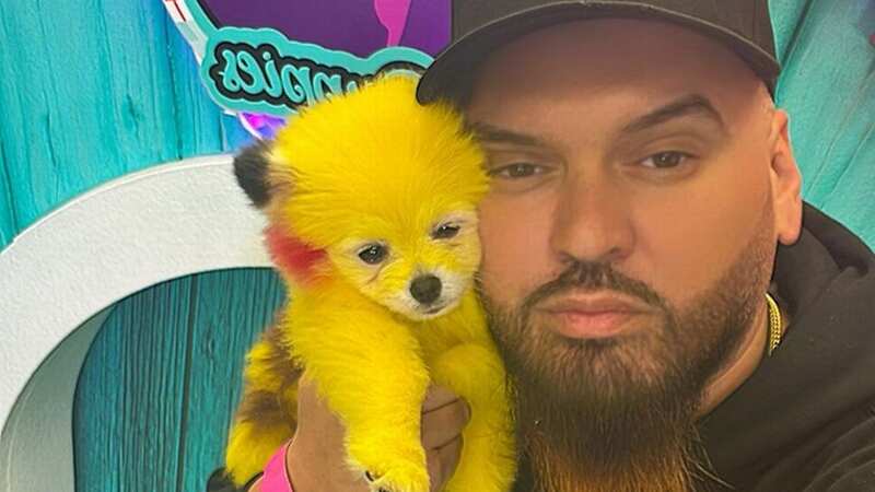 A dog was dyed so as to look like Pikachu (Image: @cjzero/Twitter)