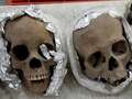 Four human skulls wrapped in tin foil found in package going from Mexico to US qhxidiqxkiqerinv