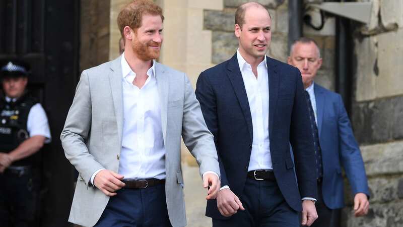 The book is set to cause tensions between the royal brothers (Image: Getty Images)