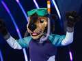 Masked Singer fans 'know' who Otter is after major clue - but it's not Kate Bush qhidqhiquqiqqhinv