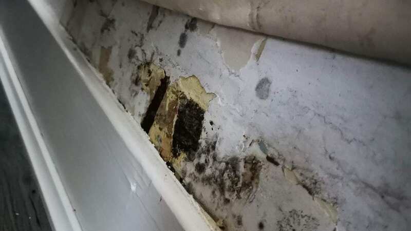 Gemma Ewing says black mould in her council property is making her children ill (Image: Gemma Ewing)
