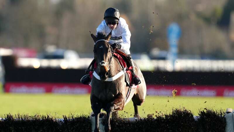 Constitution Hill completes another stroll in the Ladbrokes Christmas Hurdle (Image: PA)