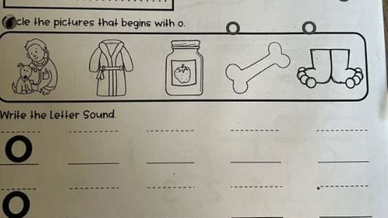 The homework asks pupils to 