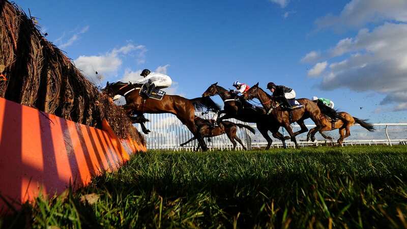 The 2014 renewal of the Tolworth Hurdle won by Nicky Henderson