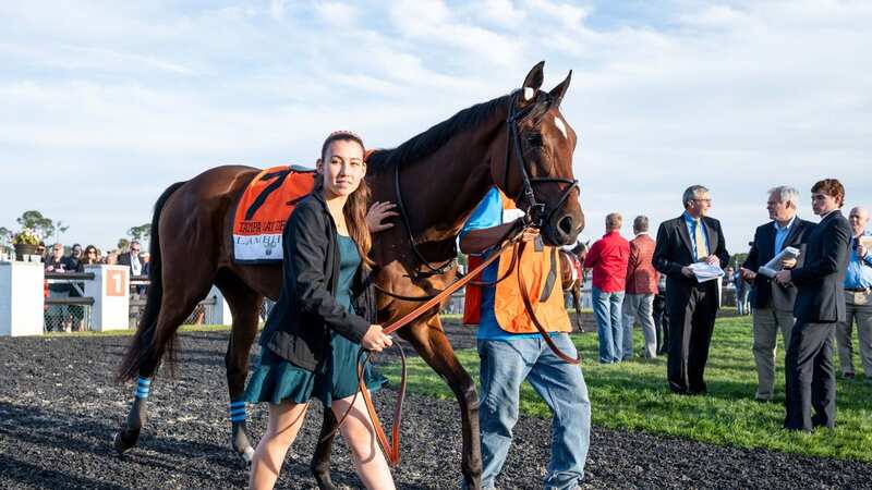 Andie Biancone: the US racing analyst has a novel way of assessing a horse