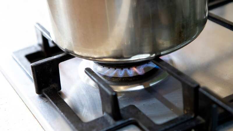 Many have expressed their concerns about the idea (stock photo) (Image: Getty Images/iStockphoto)
