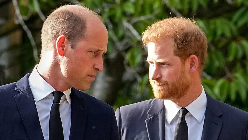 Prince William asked Harry not to tell his wife about their altercation (Image: Martin Meissner/AP/REX/Shutterstock)