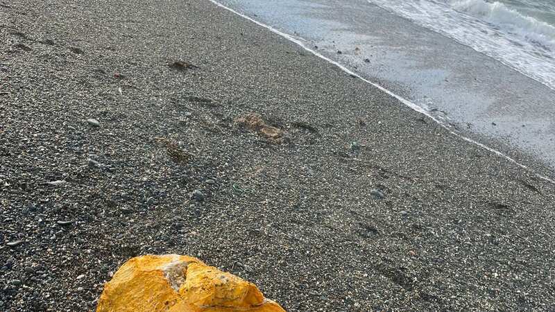 The toxic palm oil washed up on Porth-y-Post beach in Wales (Image: @Chicken_7/Twitter)