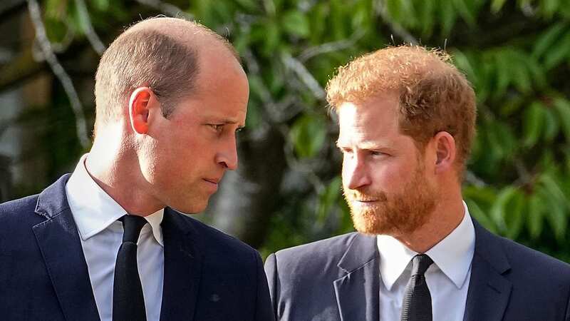 Prince Harry alleges Prince William knocked him to the floor during altercation (Image: Martin Meissner/AP/REX/Shutterstock)