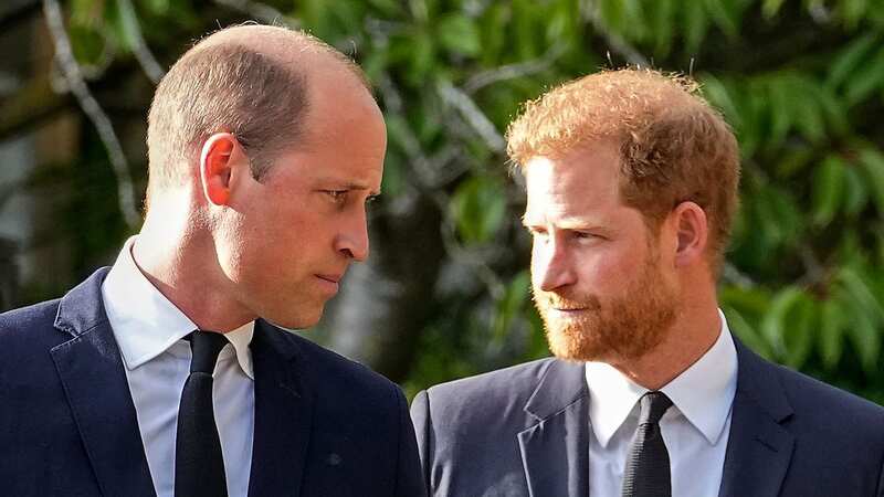 Prince Harry brands Prince William his 