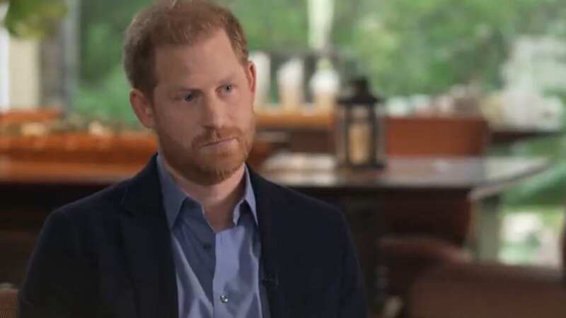 Prince Harry suggests 