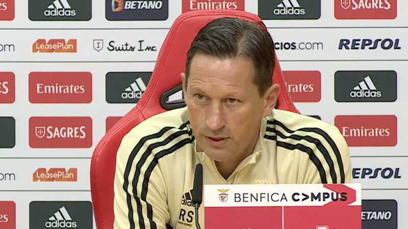 Roger Schmidt is furious with Chelsea (Image: Benfica)