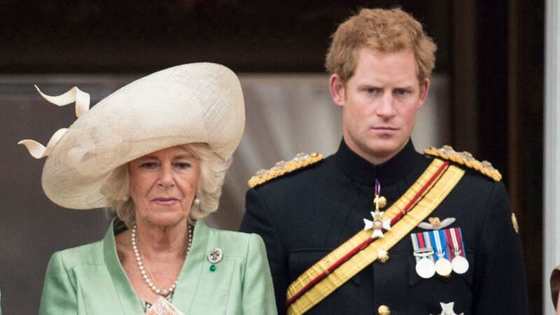 A look at Camilla and Prince Harry