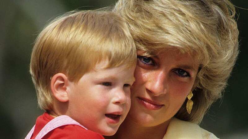 Harry used psychic to reach Diana and says woman with 