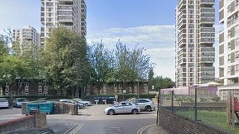 The leak took place at the Wyndham Estate, in Camberwell, London (Image: Google)