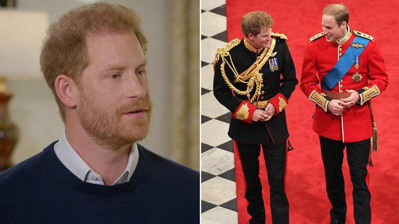 Prince Harry has insisted that he never meant to ‘harm or hurt’ his family with his bombshell tell-all memoir Spare