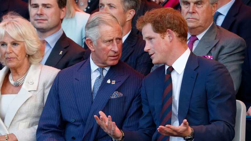 Prince Harry likens royal family to 