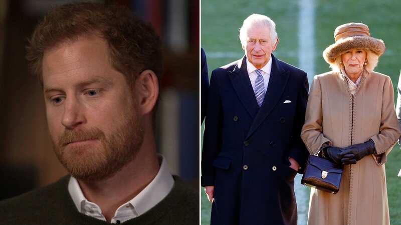Prince Harry echoes Diana