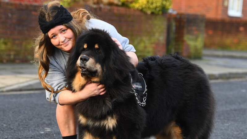 Charlene Jones, owner of Prescious the Tibetan Mastiff, has advised people to research the breed before getting one (Image: Liverpool Echo)