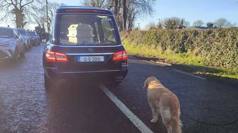 Golden retriever Bessie followed her owner to her final resting place (credit: Tamara Gervasoni)