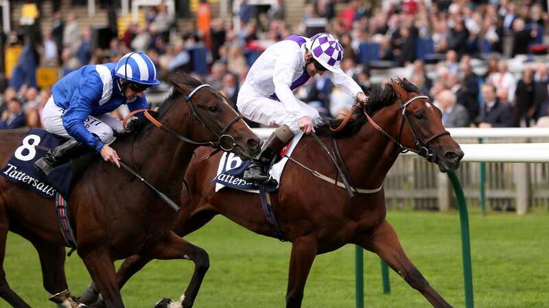 Sanus Per Aquam, (right) winning at Newmarket, died after being stung by a swarm of bees in India (Image: PA)