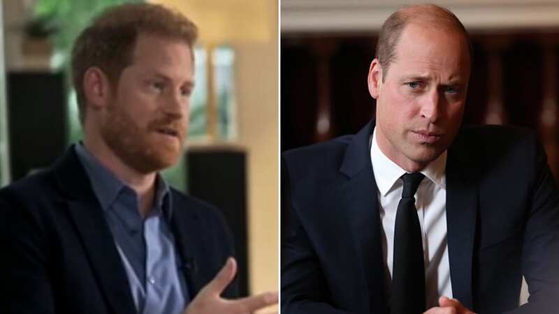 Prince Harry on private chat with brother Prince William at Diana