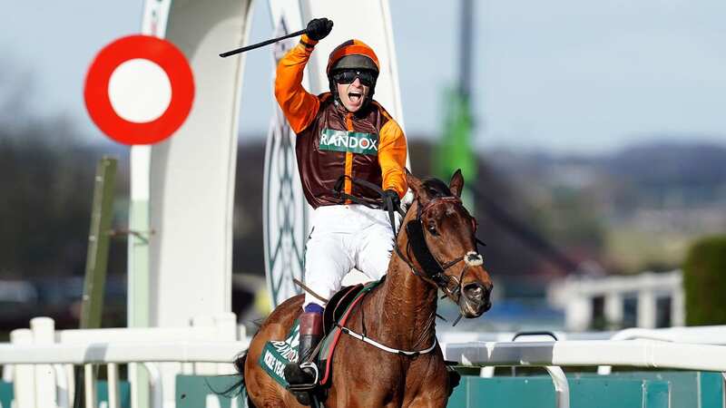 Noble Yeats: the Grand National winner will run at Lingfield next before Cheltenham Gold Cup (Image: PA)