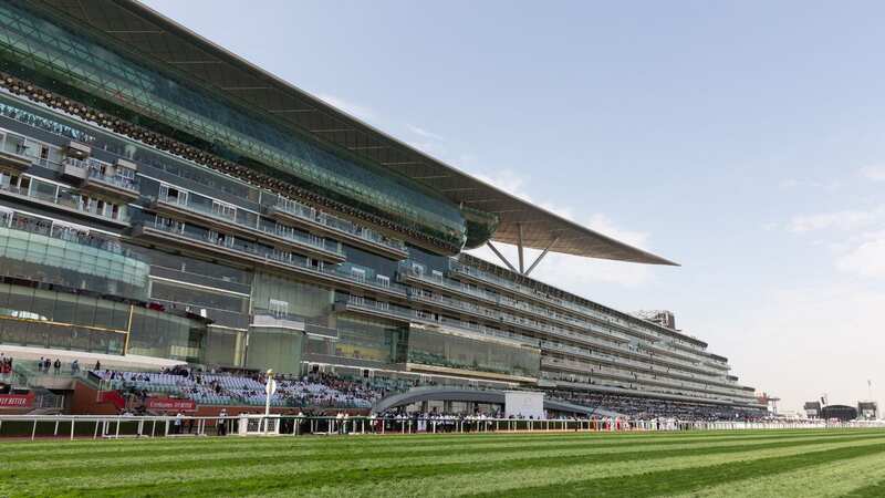 Meydan racecourse in Dubai where Flamingo Girl will debut for Doug Watson (Image: Getty Images)