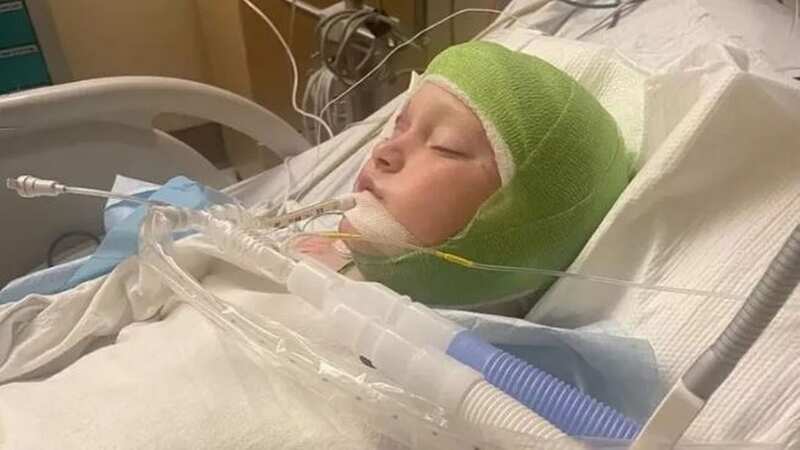 The 11-year-old was missing half his ear by the time police arrived (Image: Family Handout/Fox13)