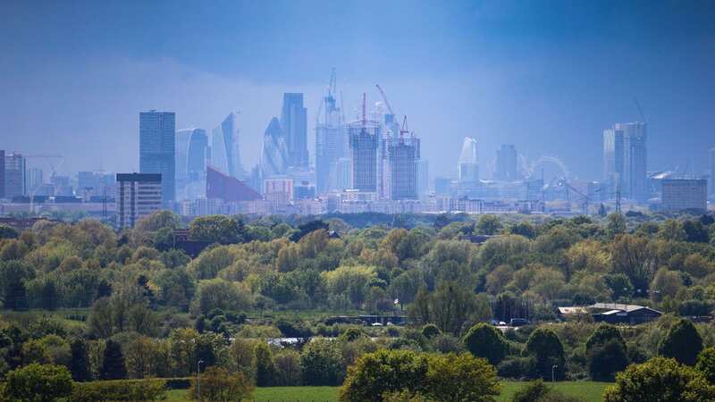 Two-thirds of Brits living in cities wish there was more greenery in their area (Image: SWNS)