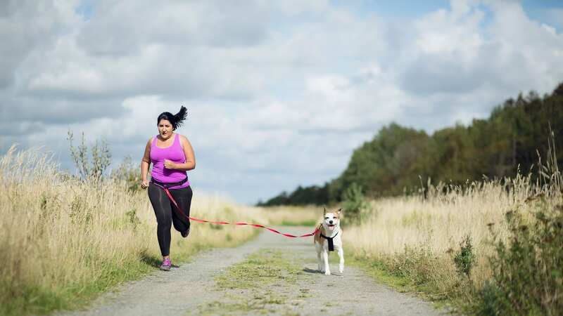 Getting more exercise is the top New Years resolution Brits set for their pets (Image: Zing Images/Getty Images)