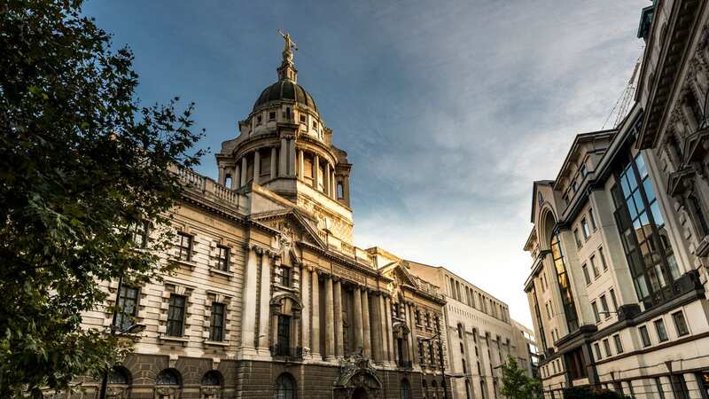 At a hearing at the Old Bailey on Friday, King pleaded guilty to preparation of terrorist acts (Image: Getty Images)