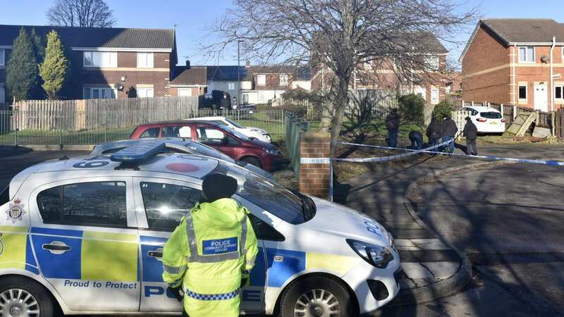 A police search squad combs the area at Brigham Avenue, in Kenton (Image: North News & Pictures Ltd northnews.co.uk)