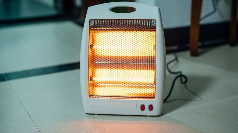 Halogen heaters have become a popular way to stay warm in your home this winter (Image: Getty Images/iStockphoto)