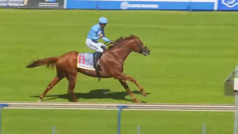 Jockey Aldo Domeyer was fined for his punch in celebration