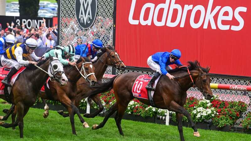 Anamoe: the Cox Plate winner is heading to Britain in the summer to run at Royal Ascot (Image: Getty Images)