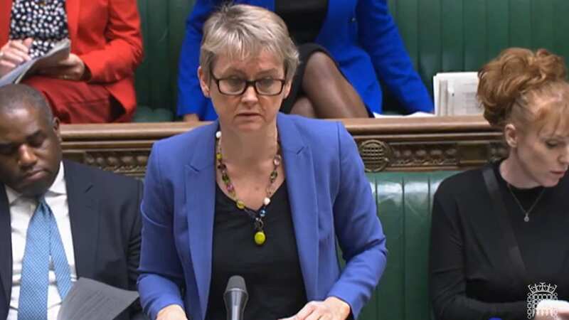 Shadow Home Secretary Yvette Cooper called for action in the Commons (Image: PA)
