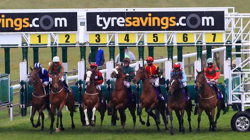 Nasty shock: a rider suffered an electric shock from the starting stalls before a race in Australia (Image: PA)