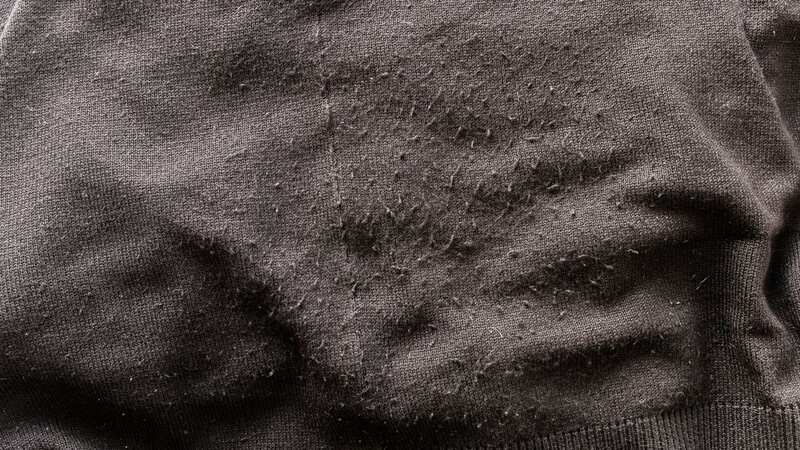 Knitwear can get very bobbly if you use it a lot (stock image) (Image: Getty Images/iStockphoto)