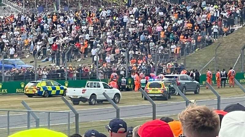 Protesters from the climate activist group Just Stop Oil invaded the track at the British Grand Prix (Image: @pompeyspark/Twitter)