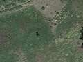 Bigfoot mystery as huge 7.5ft ape-like creature spotted roaming on Google Earth qhidqkiqzeidtzinv