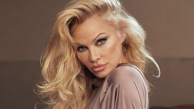 Pamela Anderson slams directors behind Hulu