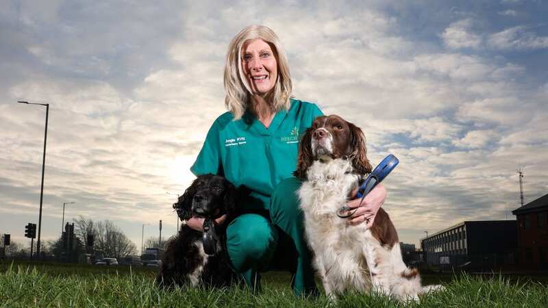 Angie Shaw had been working at the vets when a dog knocked her chest (Image: Beechwood Vets / SWNS)