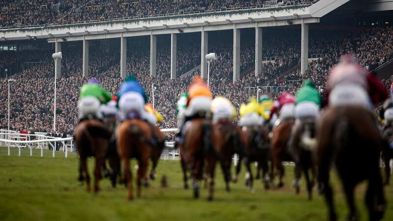 Thousands of punters will descend on Cheltenham again this year