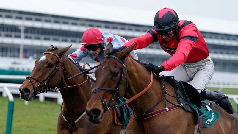 Ahoy Senor (red silks) came home ahead of Sounds Russian in the Grade 2 Paddy Power Cotswold Chase (Image: Getty)