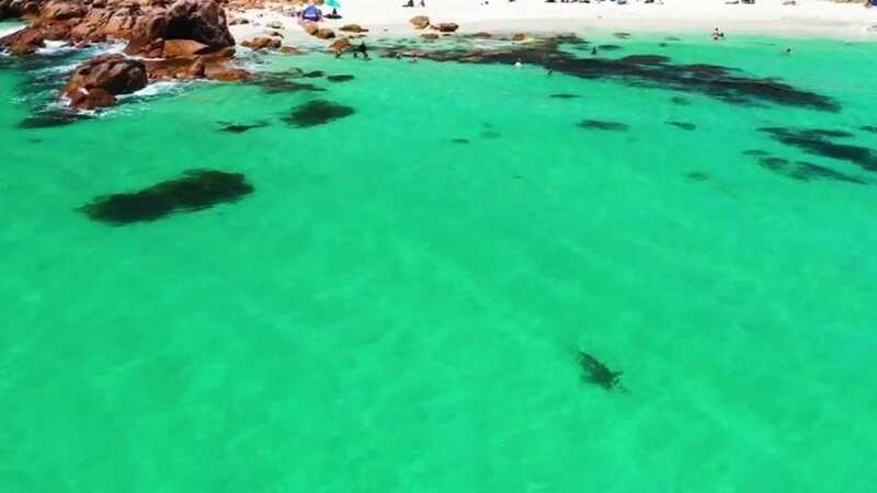 A great white shark was recently spotted around the waters of Wester Australia by a drone pilot (Image: Instagram/fonzyfotos)