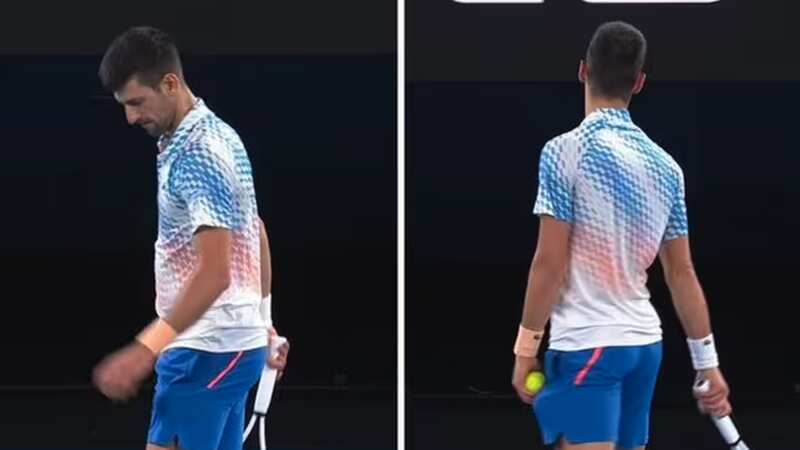 Novak Djokovic was heckled by fans during his clash with Stefanos Tsitsipas in the Australian Open final (Image: Quinn Rooney/Getty Images)