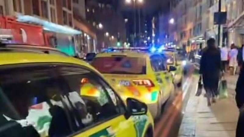 Police were called at 7.33pm on Saturday, January 28, to a fight inside the Harrods store in Brompton Road, SW1 (Image: UkNewsinPictures)