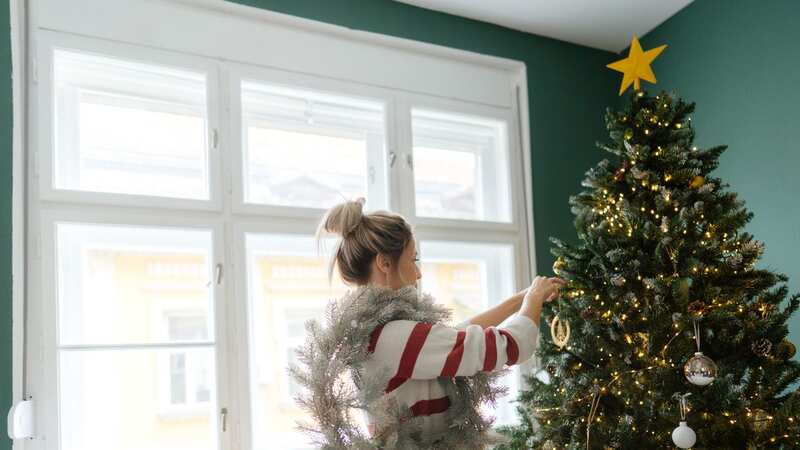 The festive fan leaves her Christmas tree up for months (stock photo) (Image: Getty Images)