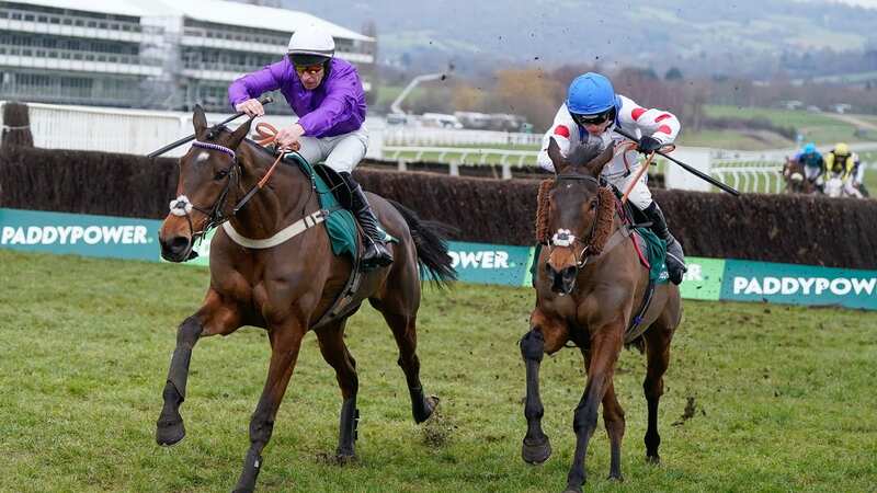 Harry Cobden: claims he would have been banned for 24-days for his use of the whip on Il Ridoto (right) (Image: Alan Crowhurst/Getty Images)